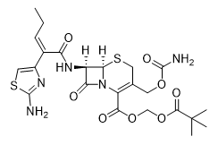 盐酸头孢卡品酯